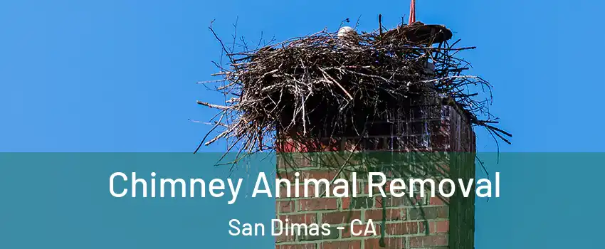 Chimney Animal Removal San Dimas - CA