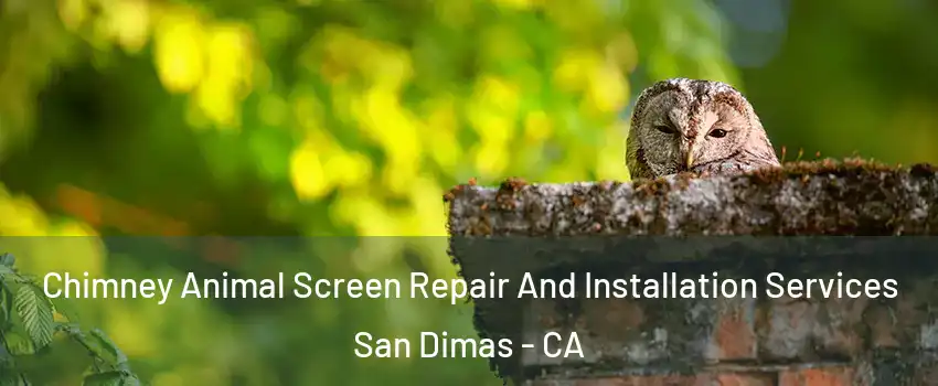  Chimney Animal Screen Repair And Installation Services San Dimas - CA