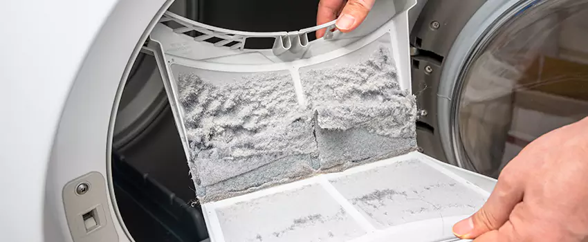 Best Dryer Lint Removal Company in San Dimas, California