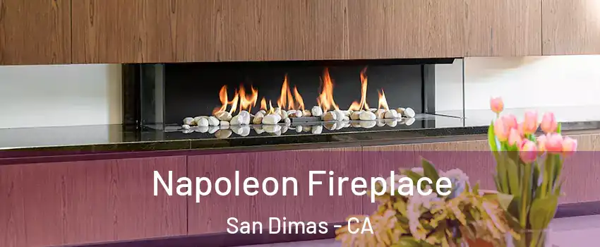  Napoleon Fireplace San Dimas - CA